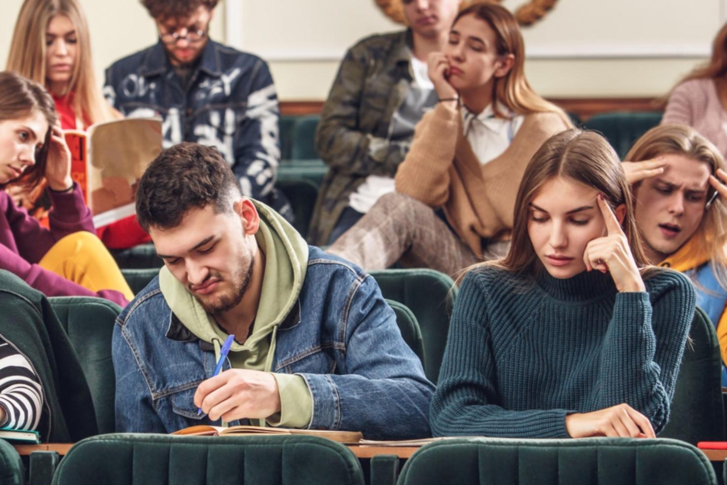 Étudiants travaillant sur des analyses financières en groupe